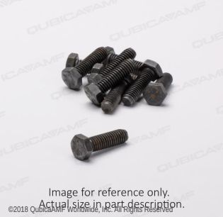 809865565BG 3/8-16 X 3 1/2 SCR HH BAG/10